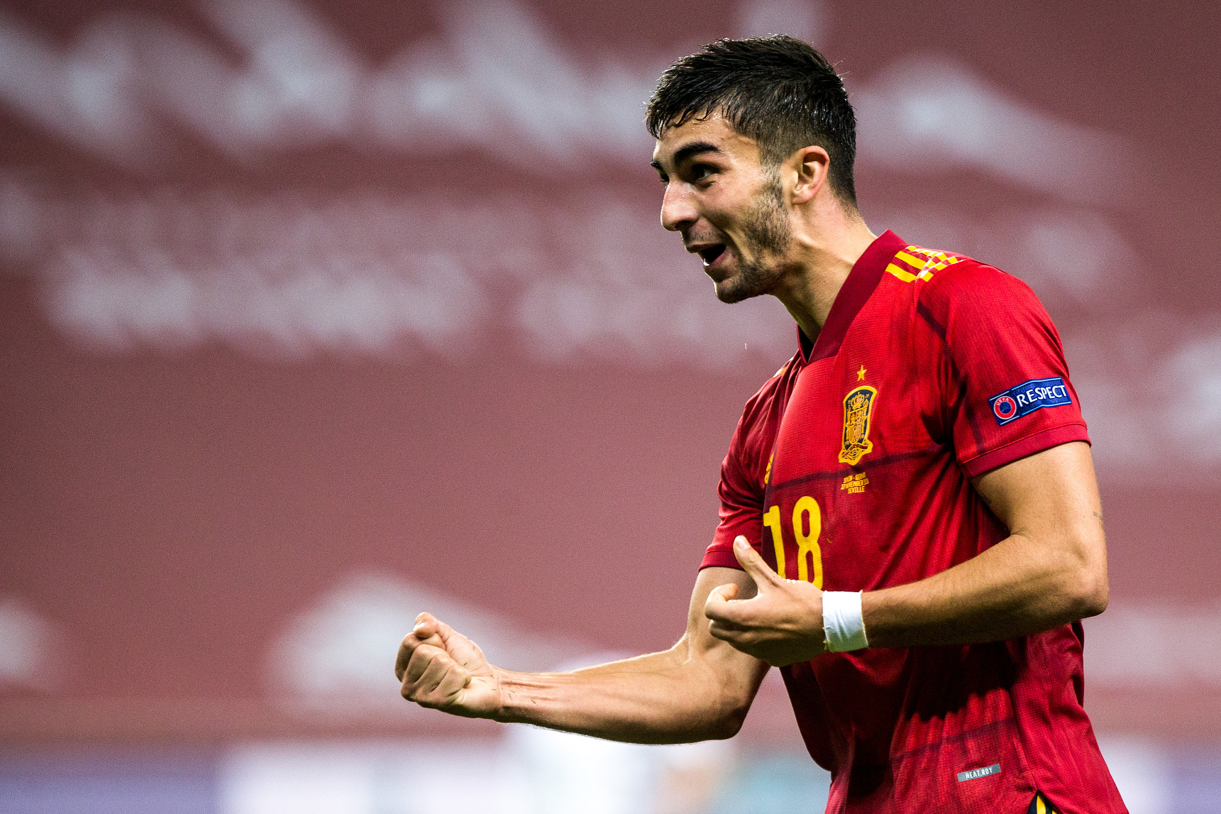 费兰·托雷斯·加西亚