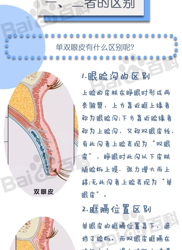 眼皮是单好还是双好
