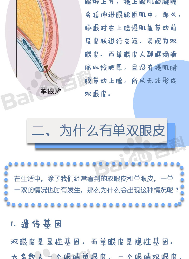 眼皮是单好还是双好