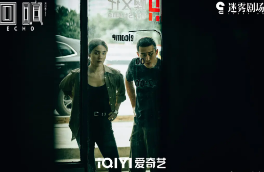 回响（2023年冯小刚执导的悬疑网络剧）_百度百科