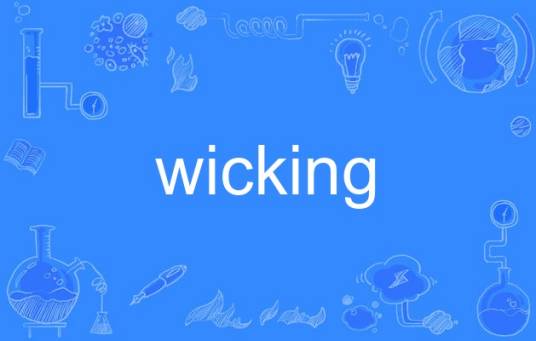 wicking_百度百科