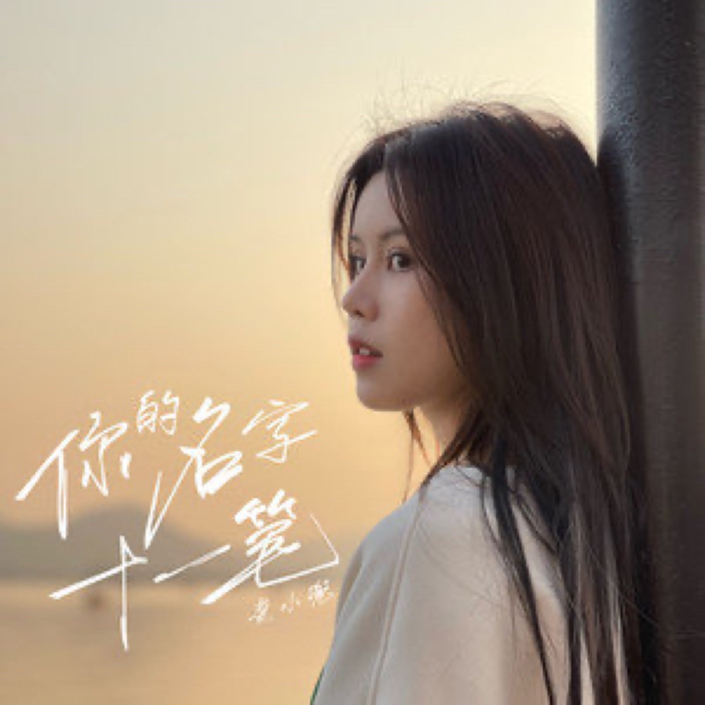 是麦小兜演唱的歌曲,发行于2021年12月31日,收录于同名专辑《你的名字