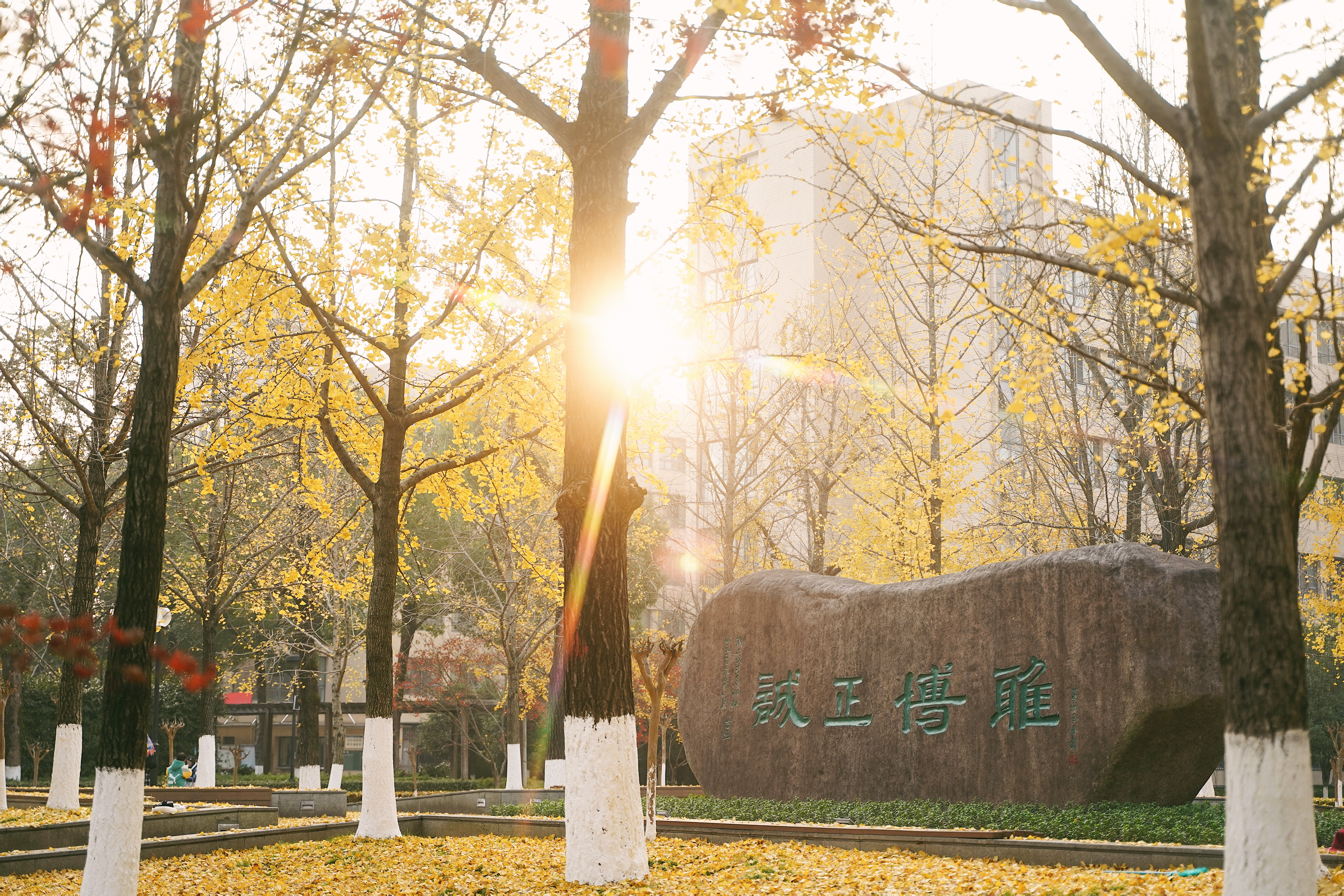 杭州市富阳区江南中学
