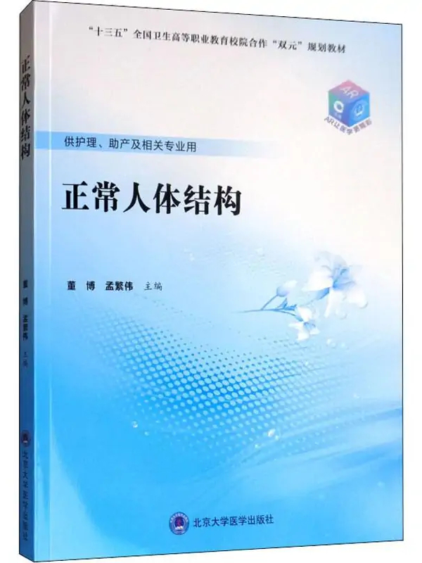 正常人体结构