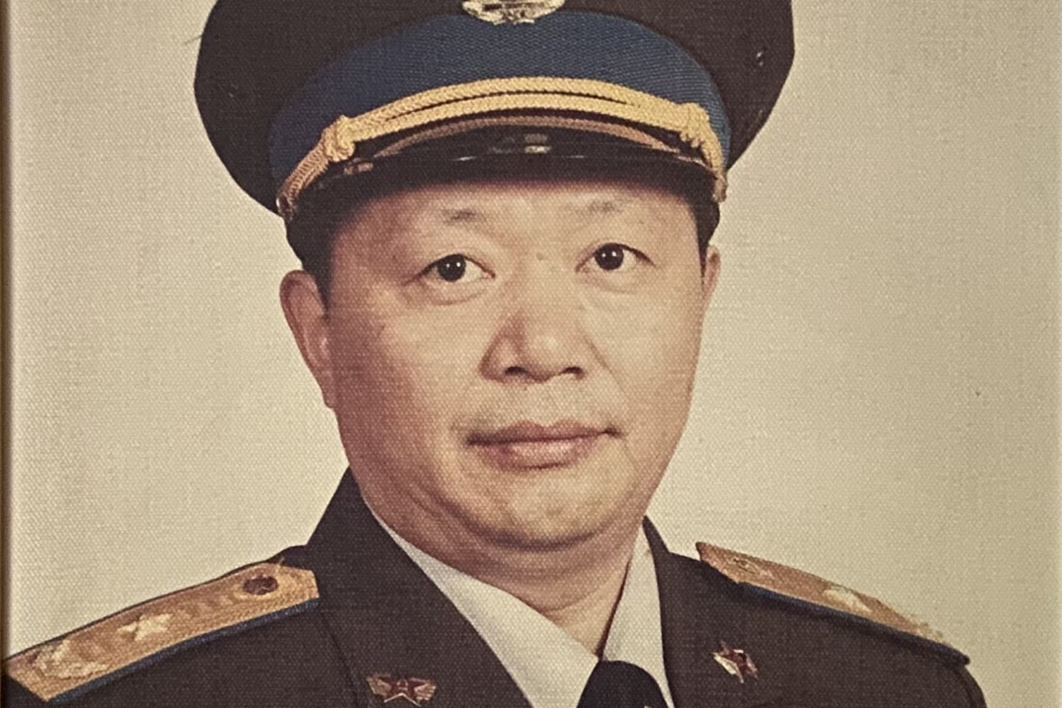 年12月出生于湖北省 a target="_blank" href="/item/崇阳县/2960267"