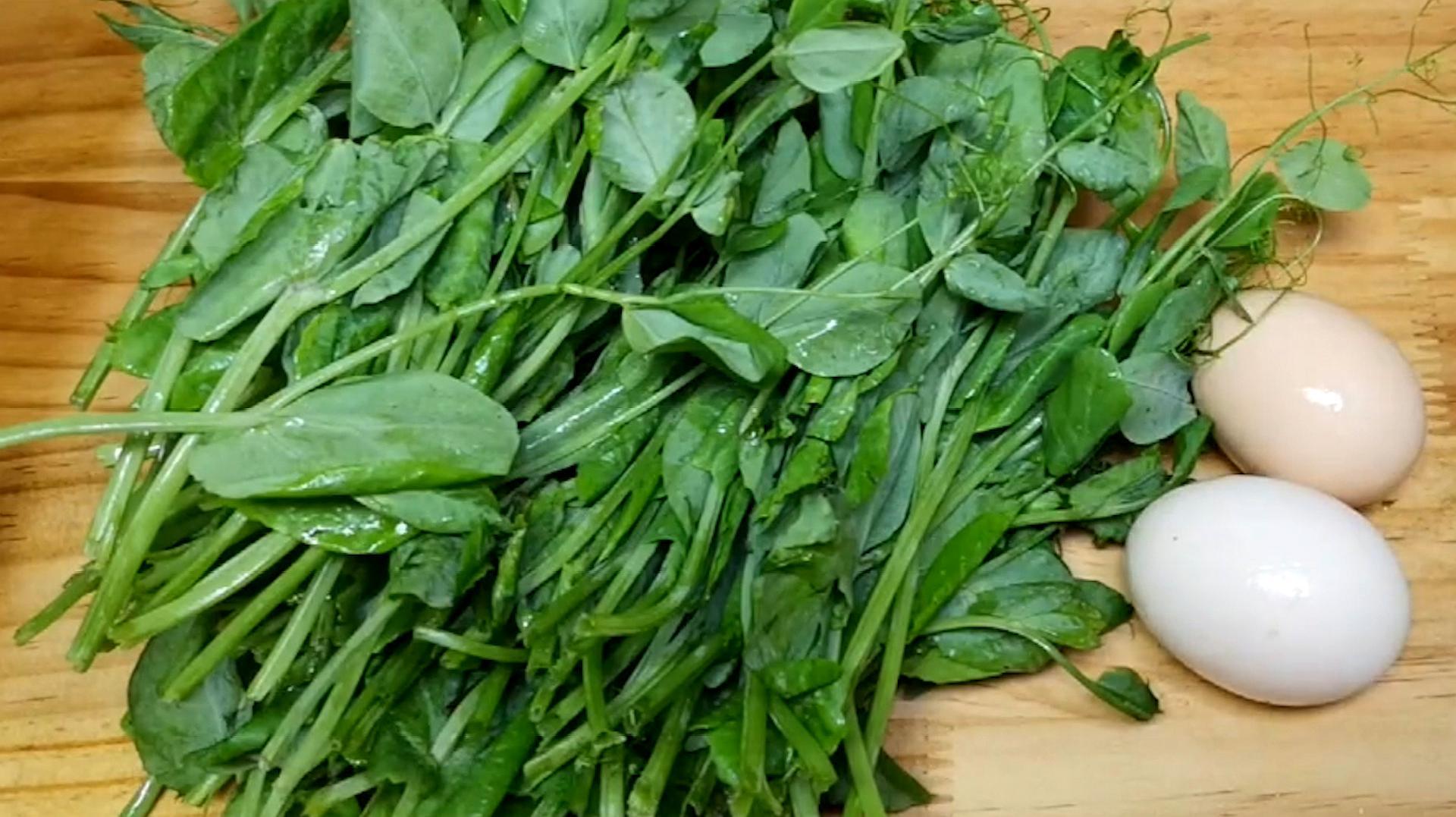 豌豆苗 百度百科