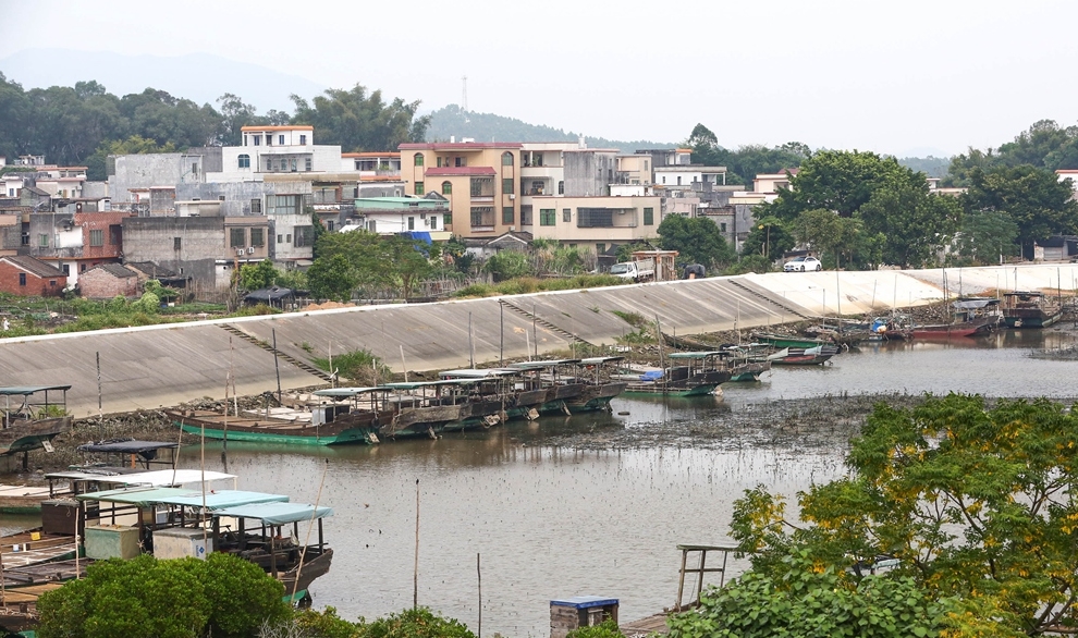 阳江市阳西县程村蚝产业园