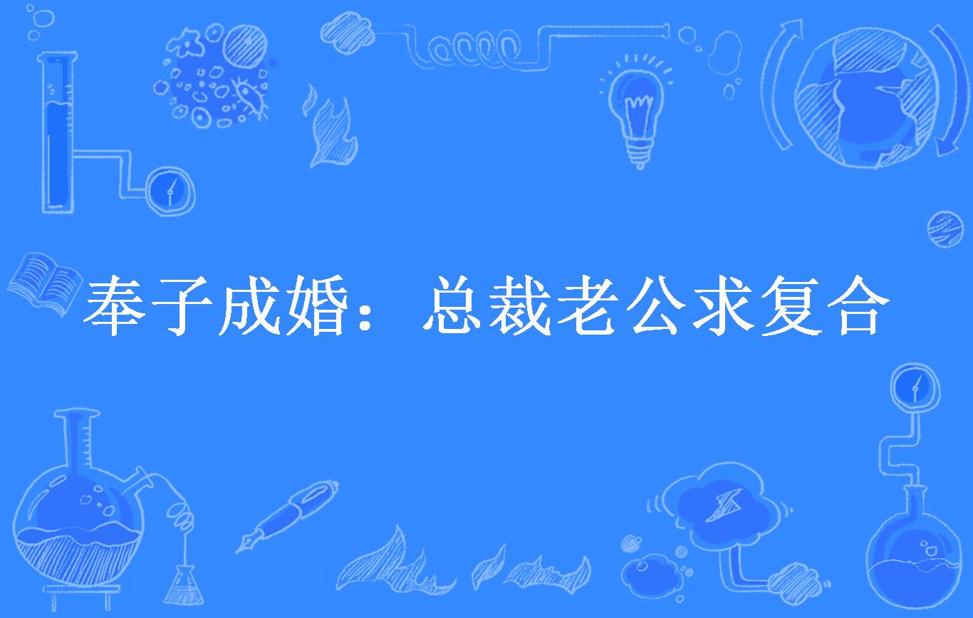 奉子成婚:总裁老公求复合