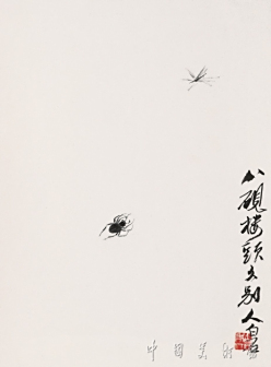 蛛蚊