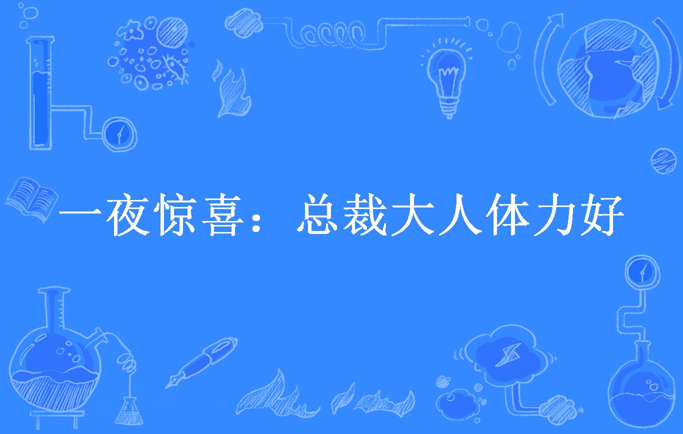 一夜惊喜:总裁大人体力好