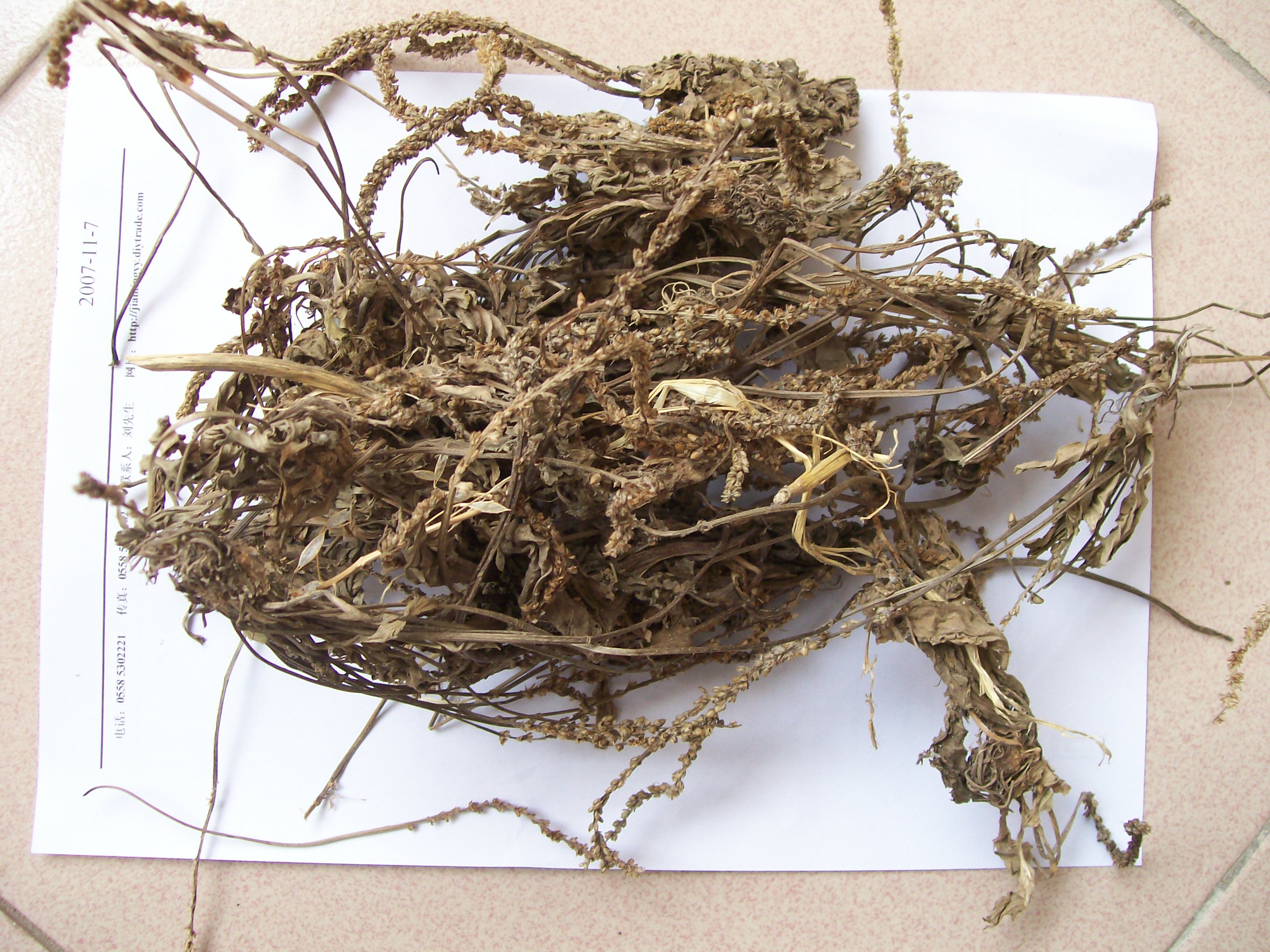  p>地骨皮,别名枸杞皮,为 a target="_blank" href="/item/茄科