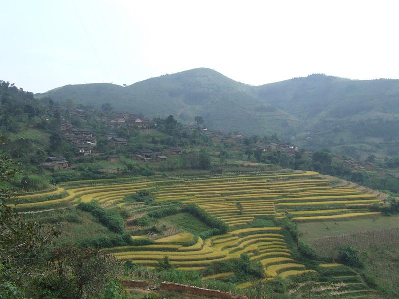 该行政村隶属广南县板蚌板蚌乡,地处板蚌乡南边,属于山区