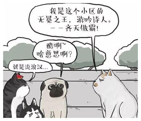  p data-id="tk7sv0e4a7lt">傲霸,别名为齐天傲霸,傲,《 a target="