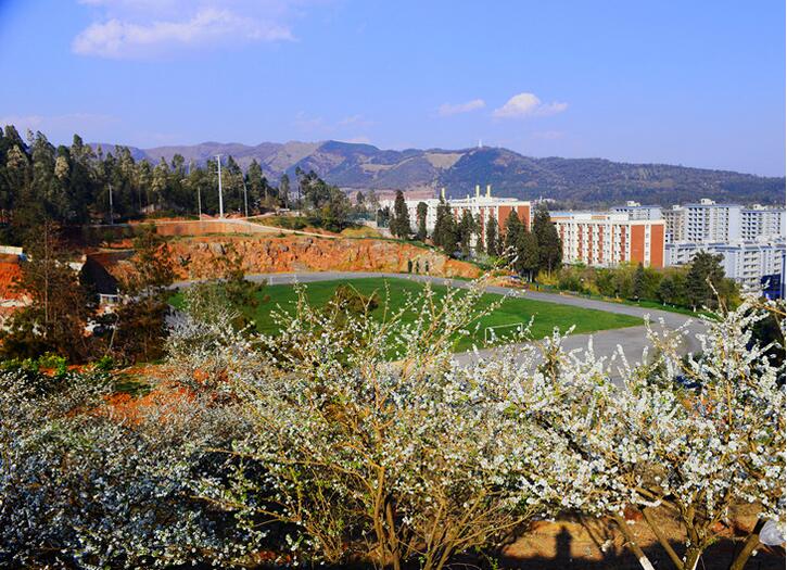  p>云南机电职业技术学院(yunnan vocational college of mechanical