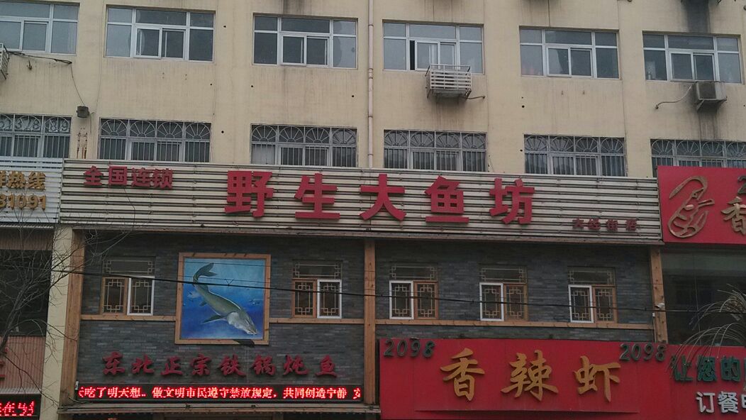  p>野生大鱼坊(大经街店)是一家东北菜店,位于河北省石家庄市桥东区大