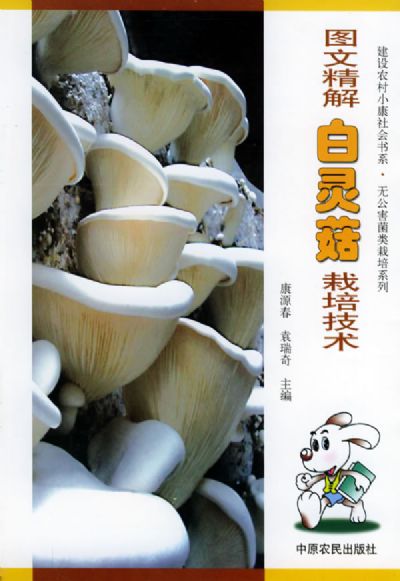 白灵菇