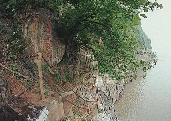西塞山区