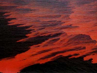  p>赤潮,又称红潮,国际上也称其为"有害藻类"或"红色幽灵".