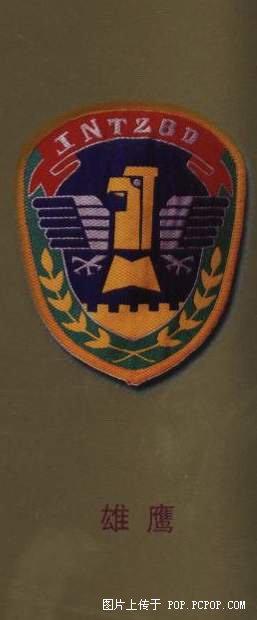 中国"雄鹰"特种兵大队