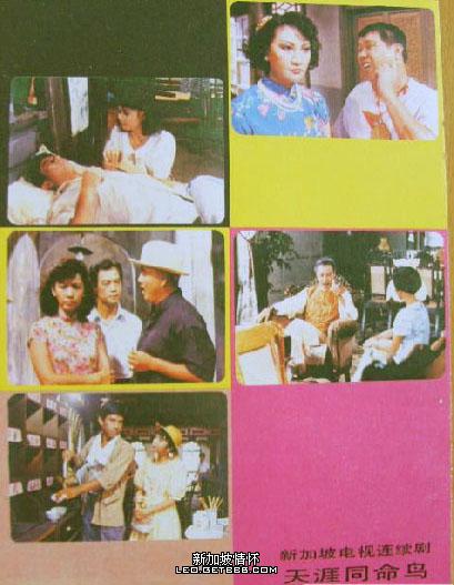 《 a target="_blank" href="/item/雾锁南洋/606943" data-lemmaid="