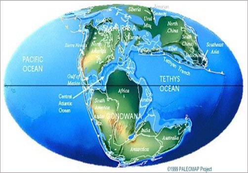  p> span class="ref" data-ctrid="sxsth1hcodxd">特提斯海(tethys)