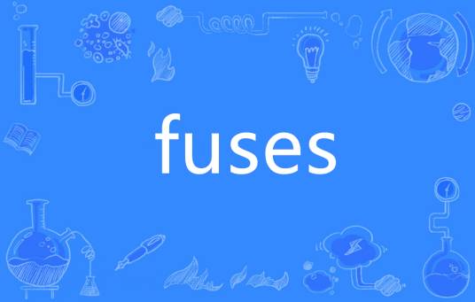Fuses（英语单词）_百度百科