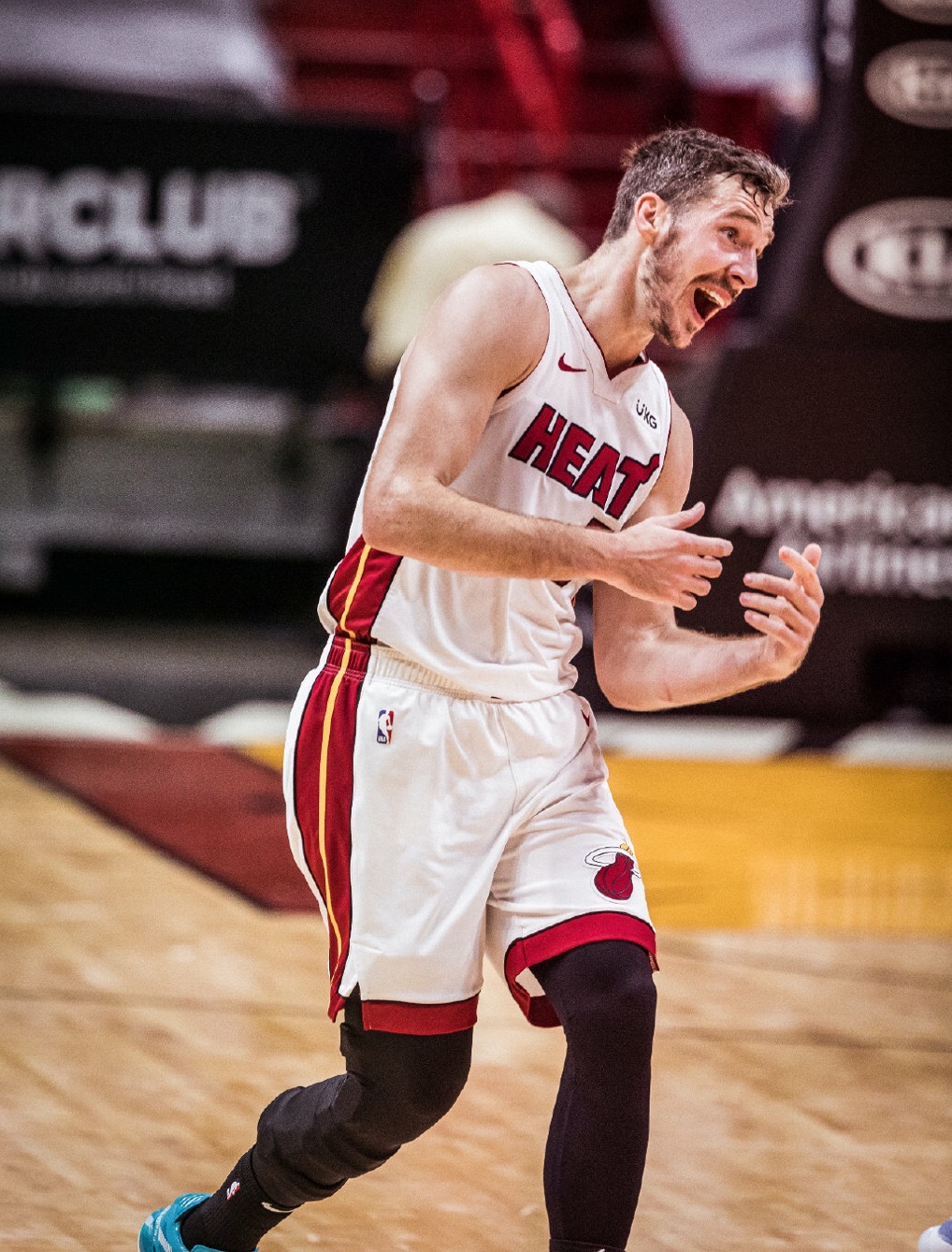 goran dragic