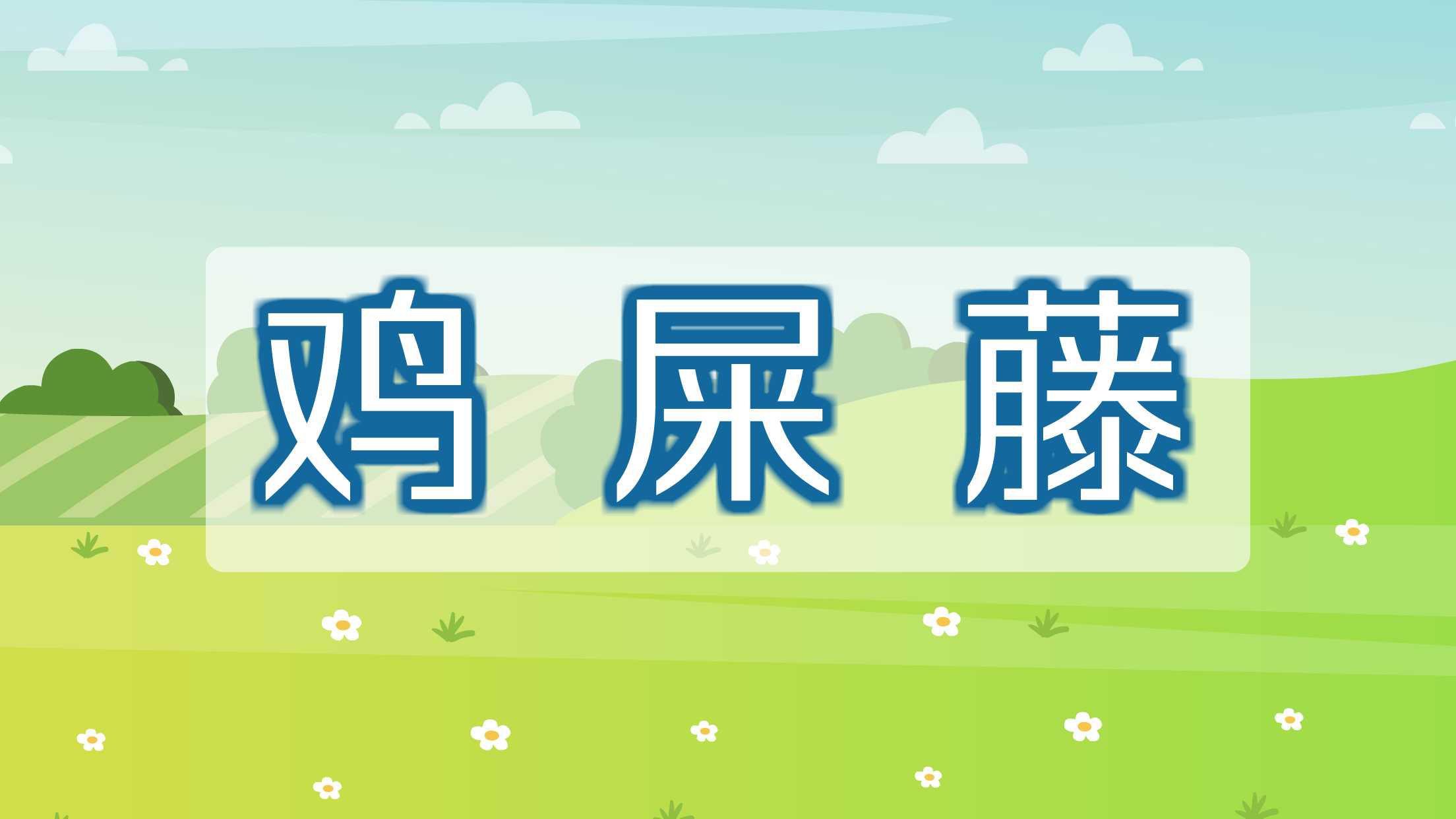 鸡屎藤:茜草科鸡屎藤属植物