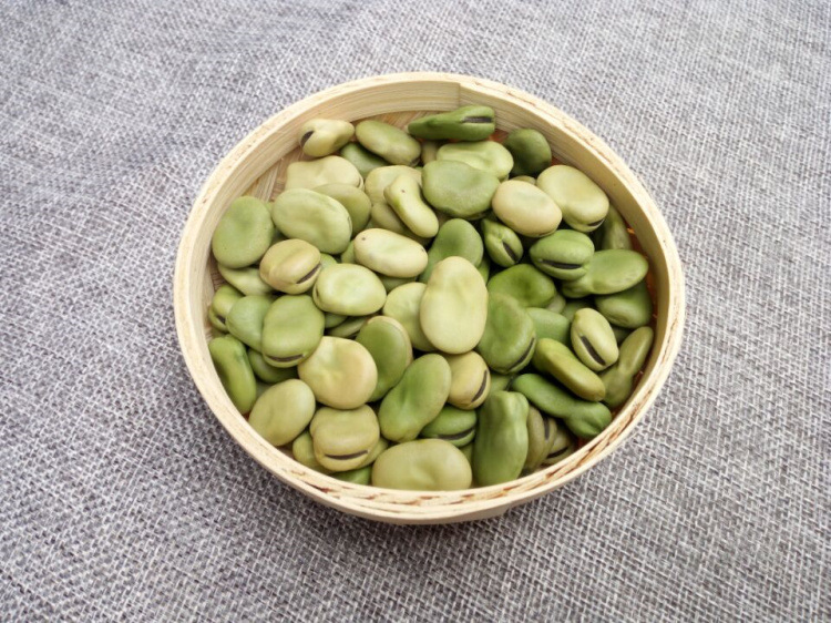  p>大青皮蚕豆是一种营养价值比较高的豆类. /p>