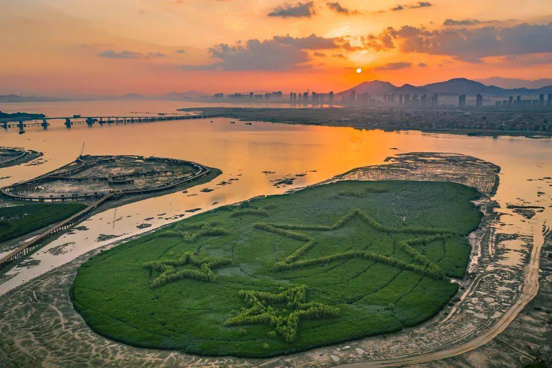 下潭尾滨海湿地公园