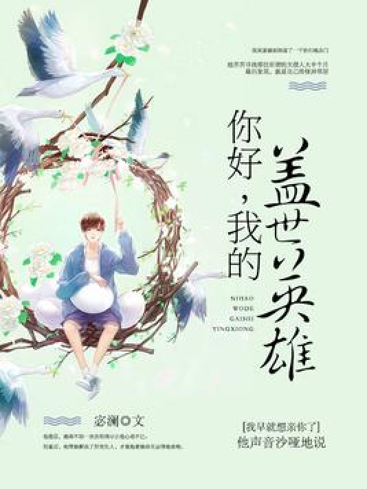你好,我的盖世英雄