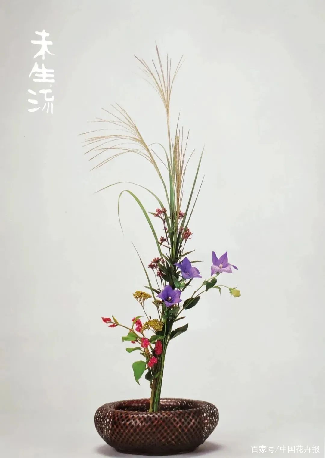 『 挿花 常磐艸 』未陽齋篤甫 著 花道家元未生御流 花道家元藏板 文政十三年序 挿花 常磐艸 』未陽齋篤甫 著 花道家元未生御流