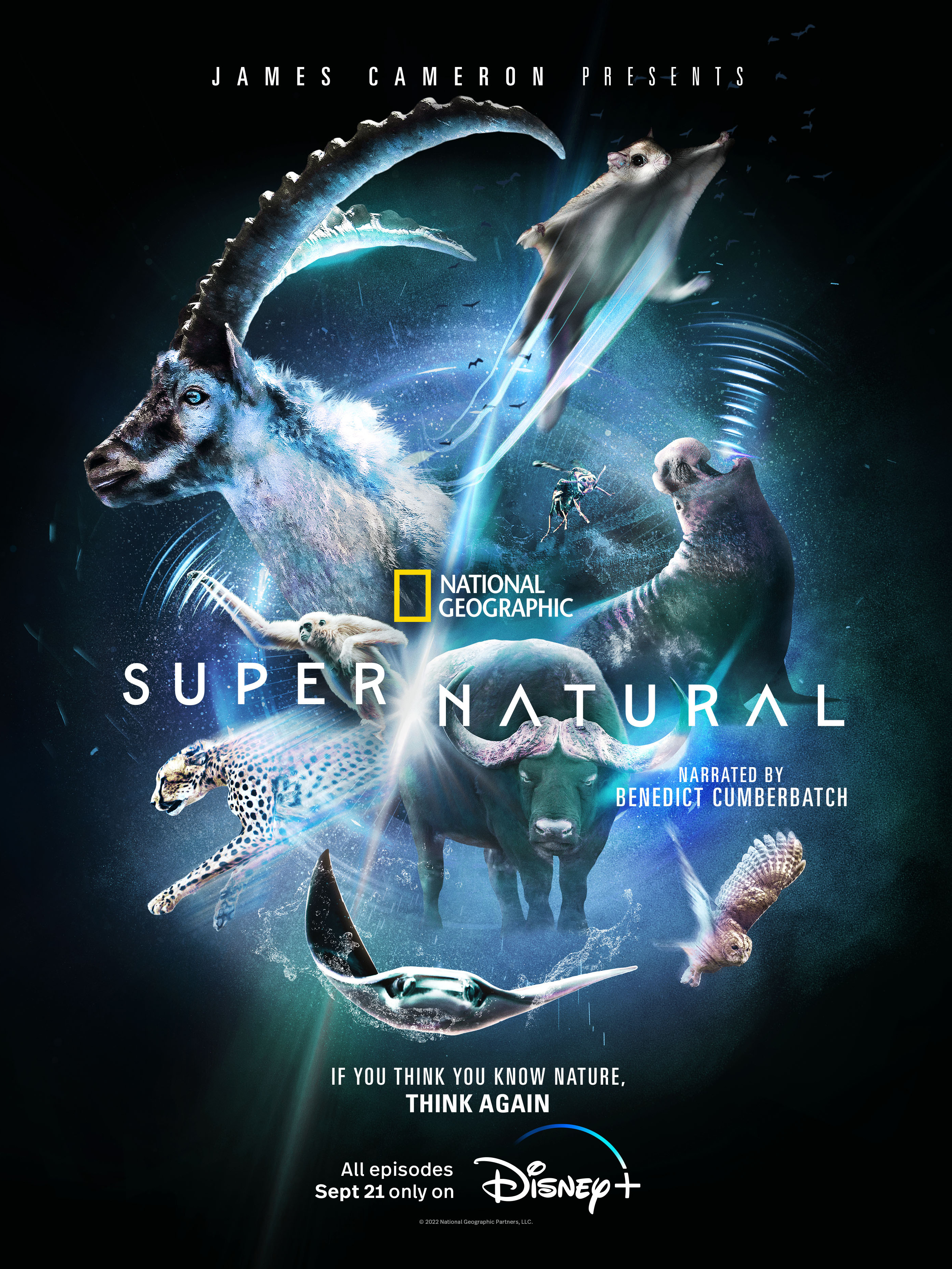  p>《超/自然》是matt brandon,bill markham,peter fison等执导