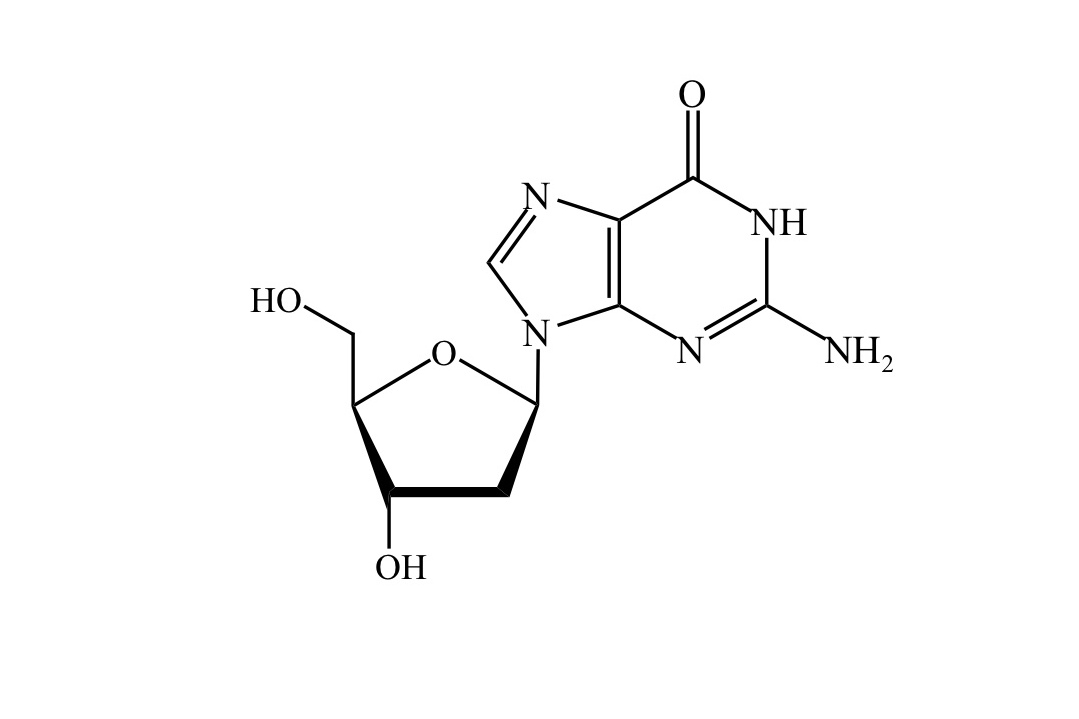可由dna分子水解形成的脱氧鸟嘌呤核苷酸继续水解形成 /p>