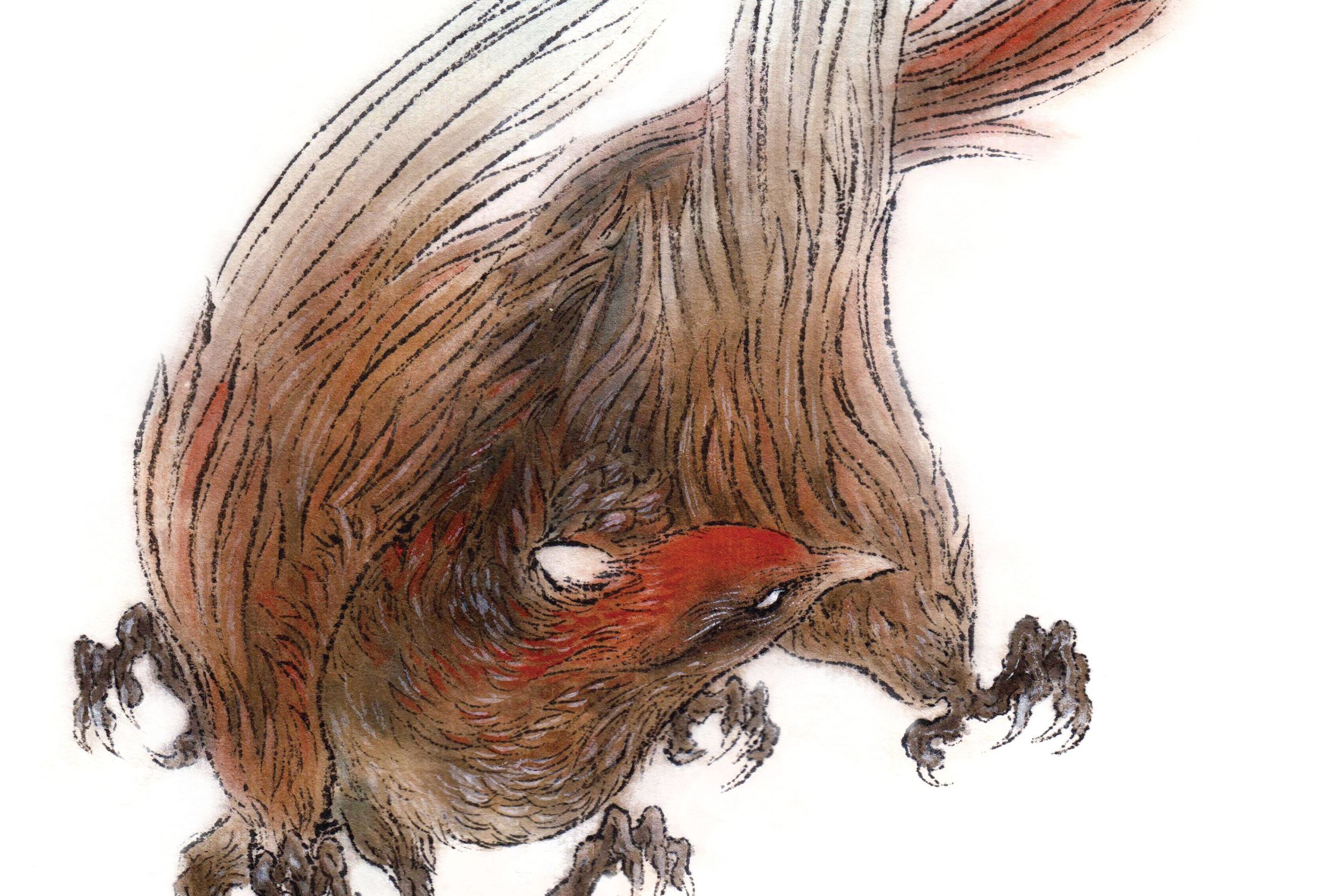  /p> p>据《山海经-北次三经》记载:形状像喜鹊,长者白色羽毛,红色