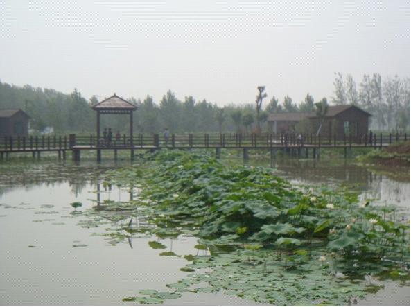 昭阳庄园