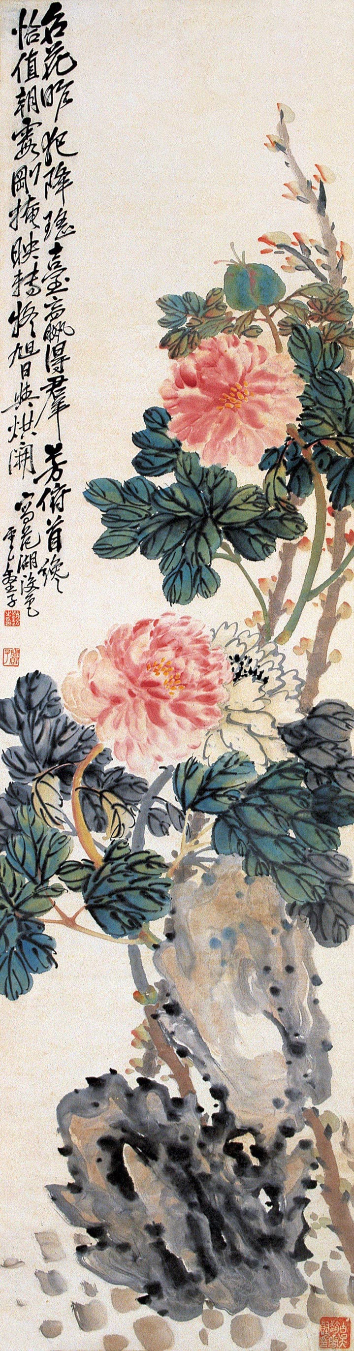 赵子云 全网资源