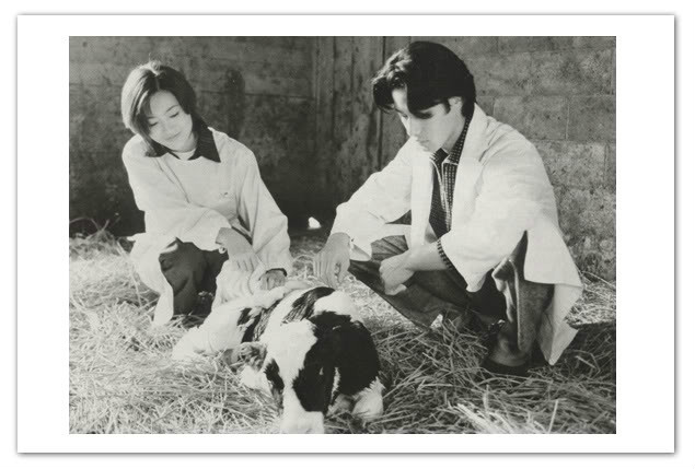 白色之恋2 /i>)是ntv电视台于1996年10月播出的爱情剧,电视剧《星之