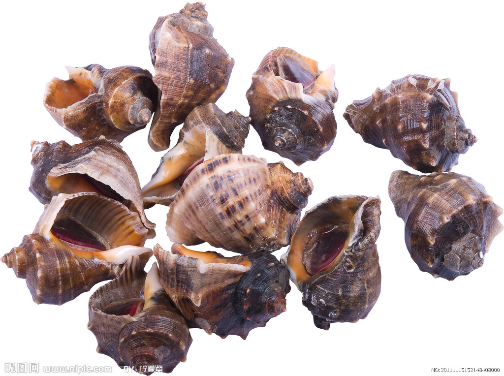 ="tiftlrohqo4j"> span class="ref" data-ctrid="tiftqbfbltgo">海螺