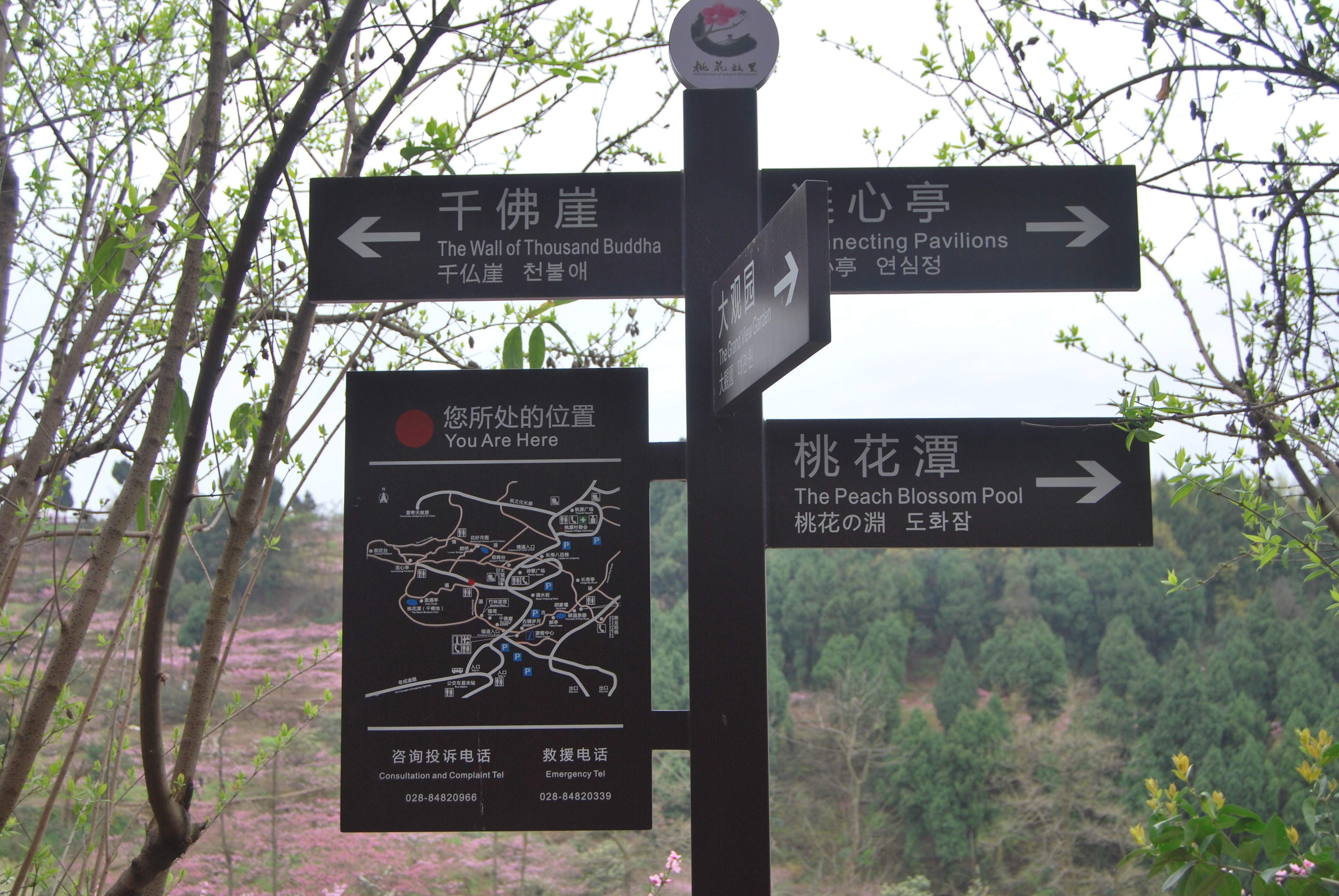  p data-id="gnwh8tpari">国家aaaa级旅游景区桃花故里位于成都龙泉山