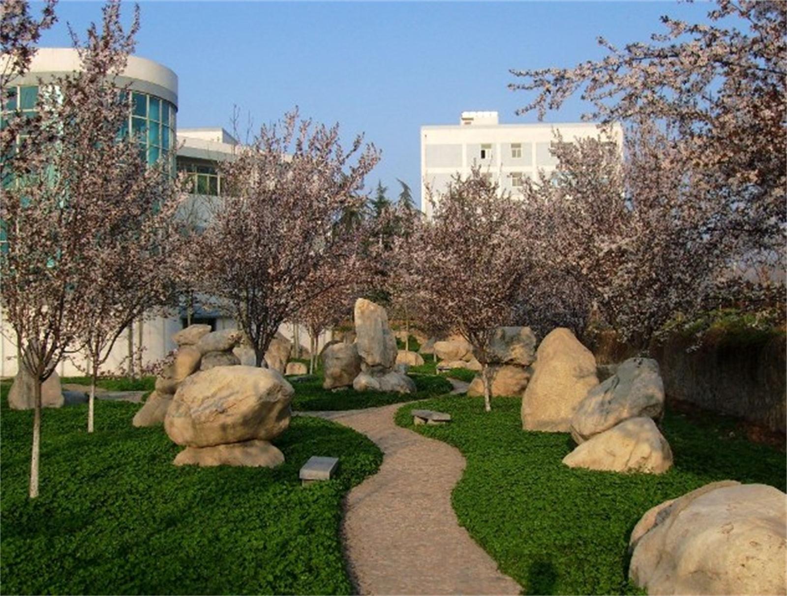  p>西安明德理工学院( i>northwestern polytechnical university