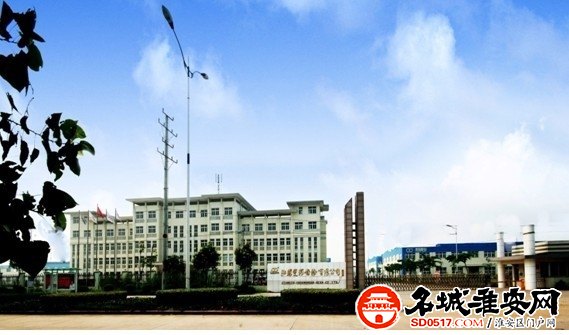 江苏双环齿轮有限公司