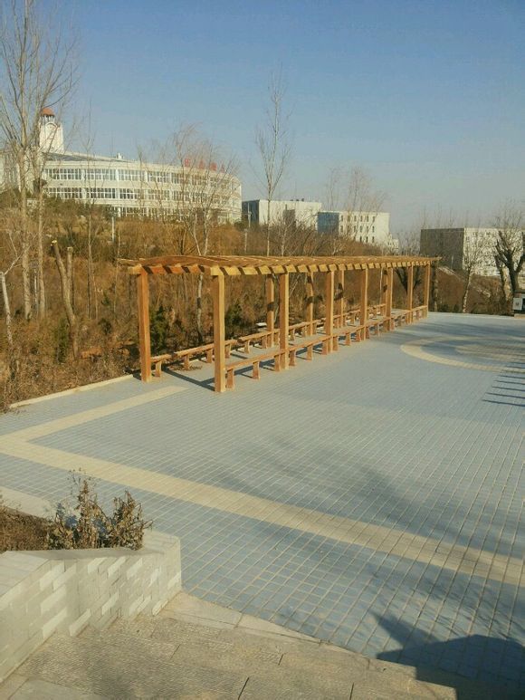 山东师范大学历山学院