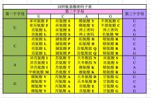 密码子表