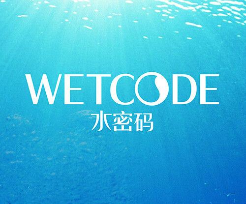 丹姿水密码