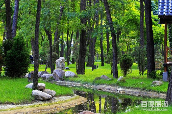  p>仙侣山庄位于辽宁省营口仙人岛国家森林公园之中,总占地面积100亩