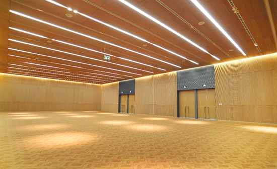  p>大都美术馆是根据北京文化基金会的章程与中国 油画学会合作筹建