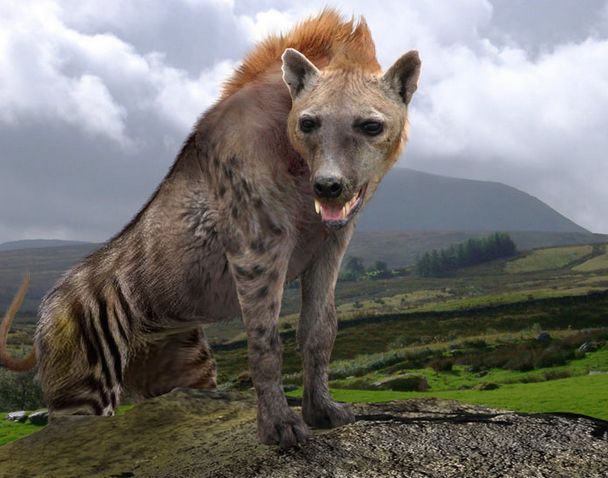  p>巨鬣狗是一类已经灭绝了的,庞大而可怕的 a href="#" data-lemmaid