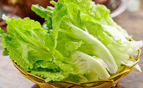 广东生菜