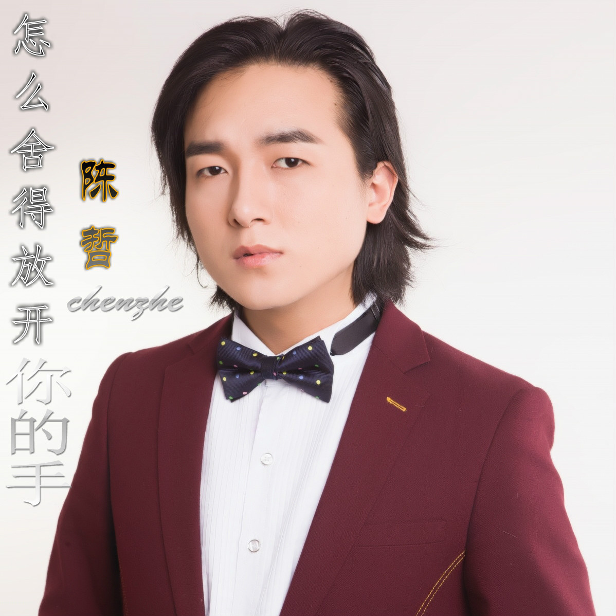 是内地流行音乐男歌手 a target="_blank" href="/item/陈哲/16389047